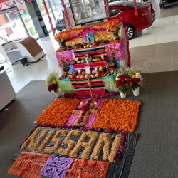 Nissan Matriz