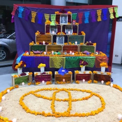 Toyota Chiapas