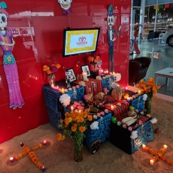 Toyota Tapachula