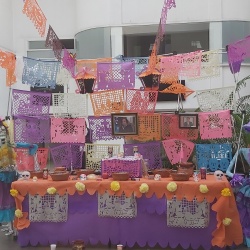 Honda Coyoacan