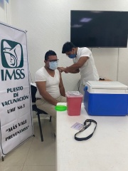 IMG 9821
